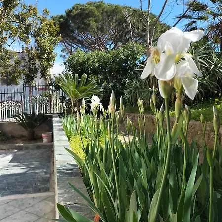 Verdeacqua My In The Pinewood Apartment