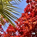 Διαμέρισμα Verdeacqua Villa Apartments Tra Natura E Mare