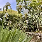 Διαμέρισμα Verdeacqua Villa Apartments Tra Natura E Mare *
