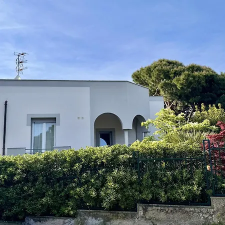 Verdeacqua My In The Pinewood Appartamento *