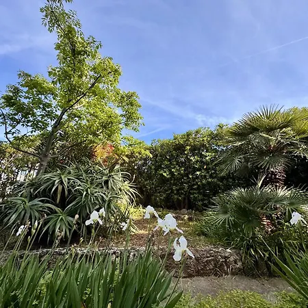 Verdeacqua My In The Pinewood Appartement *