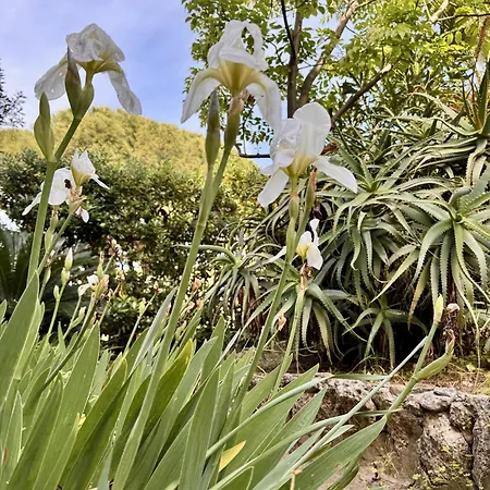 Appartement Verdeacqua My In The Pinewood *