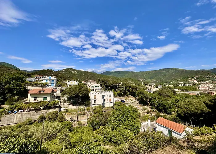 Verdeacqua My In The Pinewood