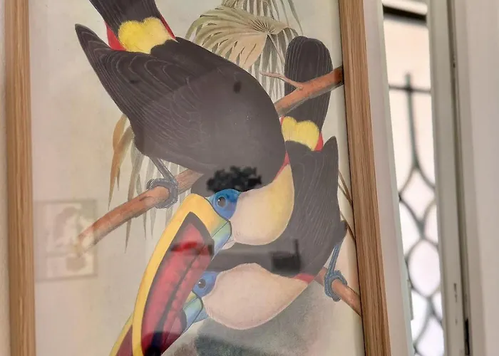 Verdeacqua My In The Pinewood *