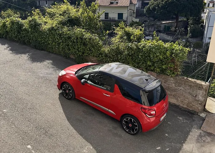 Verdeacqua My In The Pinewood *